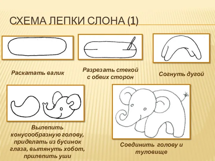 Схема лепки слона (1) Раскатать валик Разрезать стекой с обеих