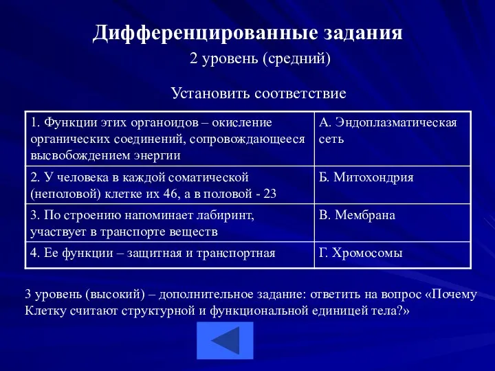 Дифференцированные задания 2 уровень (средний) Установить соответствие 3 уровень (высокий)