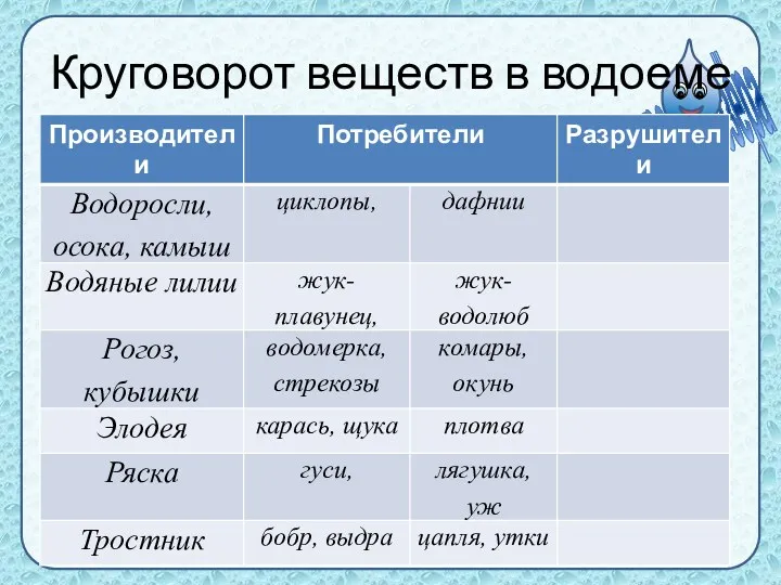 Круговорот веществ в водоеме