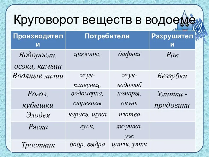 Круговорот веществ в водоеме