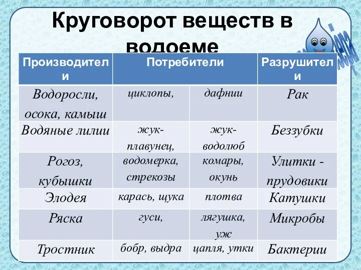 Круговорот веществ в водоеме