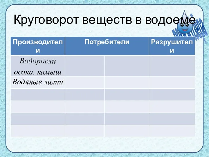 Круговорот веществ в водоеме