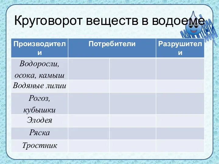 Круговорот веществ в водоеме