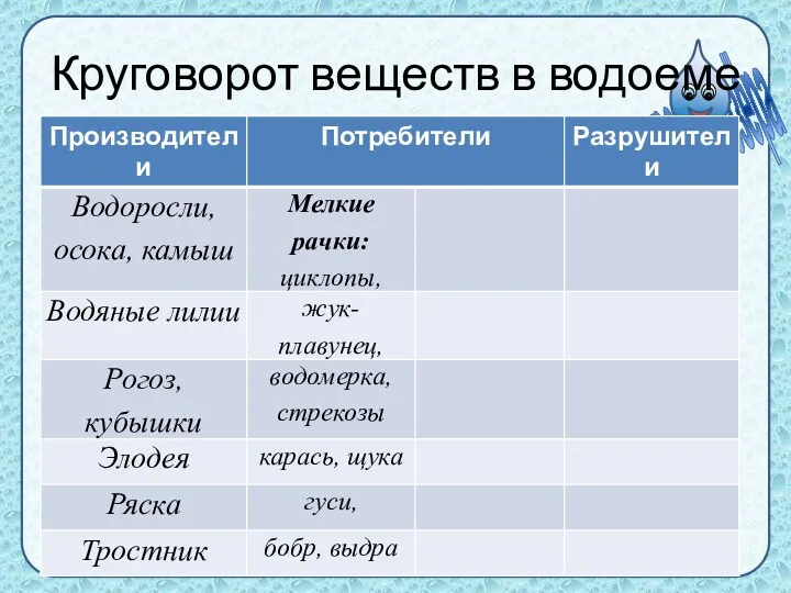 Круговорот веществ в водоеме