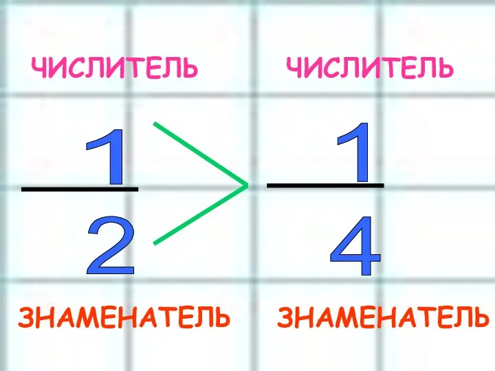 1 2 1 4 ЧИСЛИТЕЛЬ ЧИСЛИТЕЛЬ ЗНАМЕНАТЕЛЬ ЗНАМЕНАТЕЛЬ