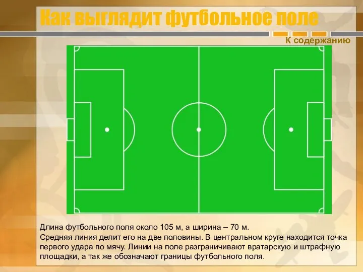 Как выглядит футбольное поле Длина футбольного поля около 105 м, а ширина –