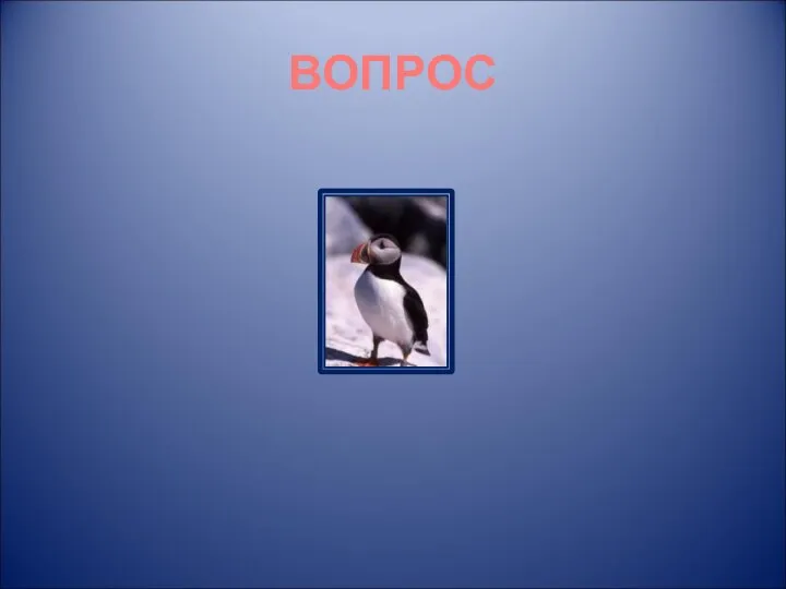 ВОПРОС