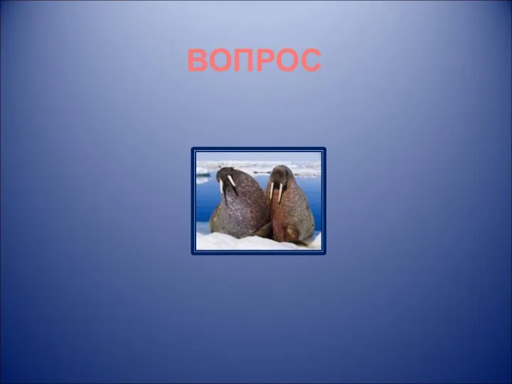 ВОПРОС