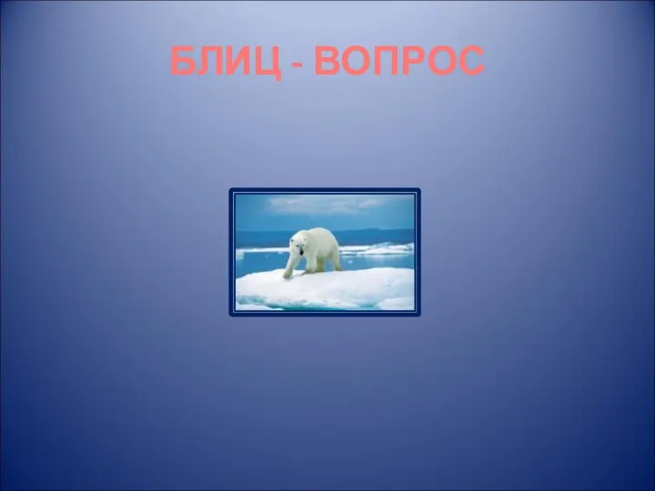 БЛИЦ - ВОПРОС