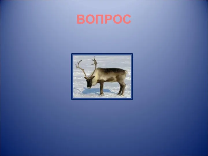 ВОПРОС