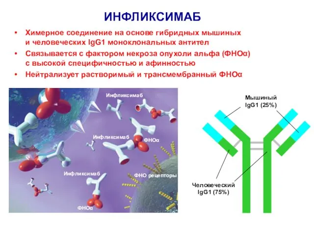 ИНФЛИКСИМАБ Химерное соединение на основе гибридных мышиных и человеческих IgG1