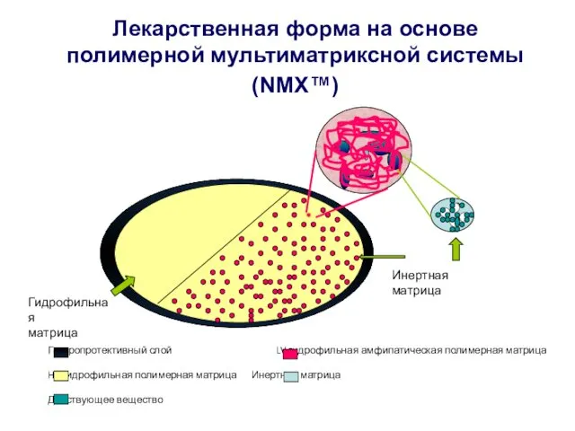 Гастропротективный слой LV гидрофильная амфипатическая полимерная матрица HV гидрофильная полимерная