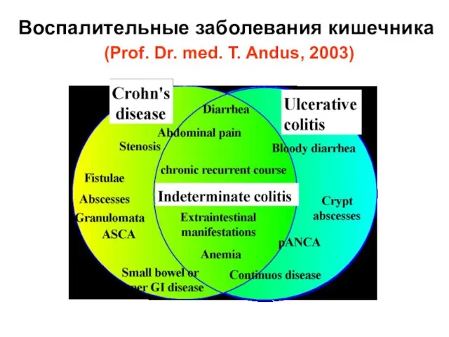 Воспалительные заболевания кишечника (Prof. Dr. med. T. Andus, 2003)