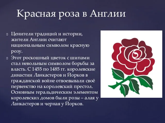 Ценители традиций и истории, жители Англии считают национальным символом красную