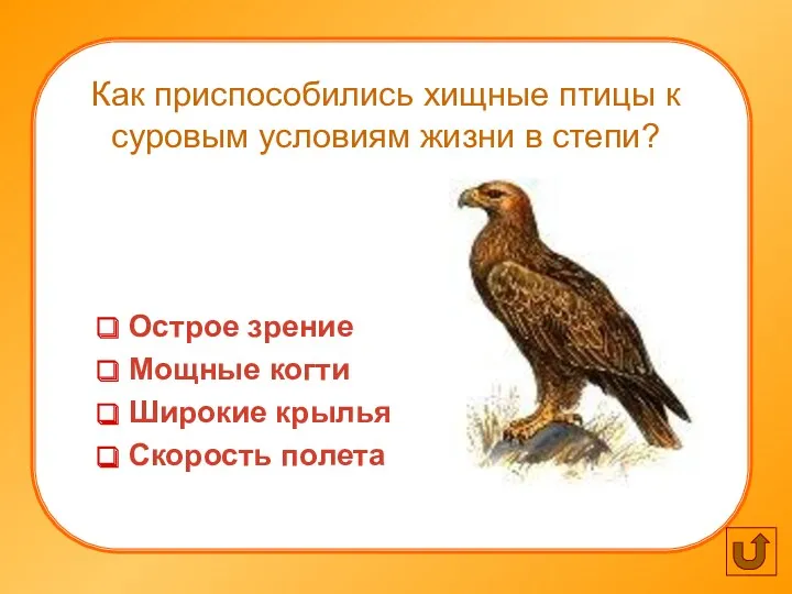 Как приспособились хищные птицы к суровым условиям жизни в степи?