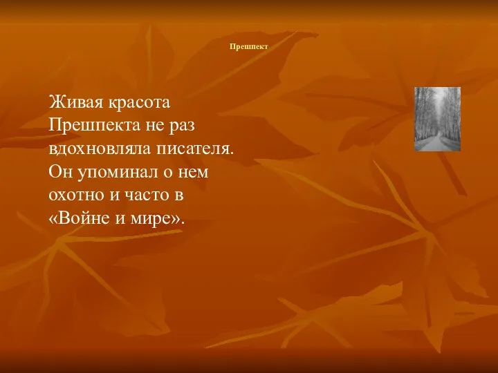 Прешпект Живая красота Прешпекта не раз вдохновляла писателя. Он упоминал