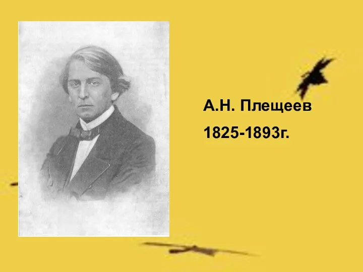 А.Н. Плещеев 1825-1893г.