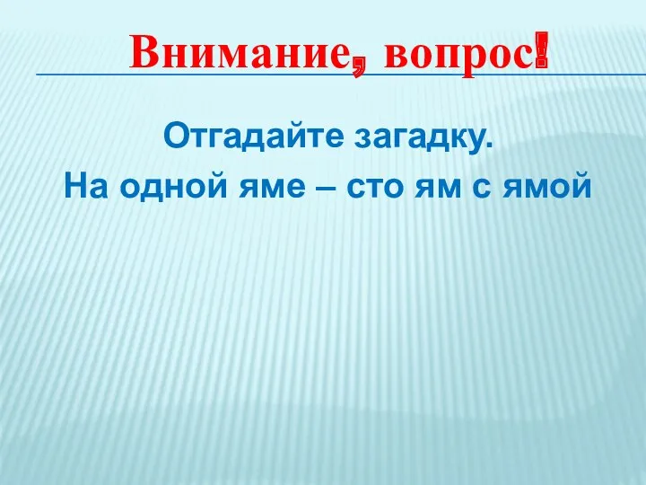 Отгадайте загадку. На одной яме – сто ям с ямой Внимание, вопрос!