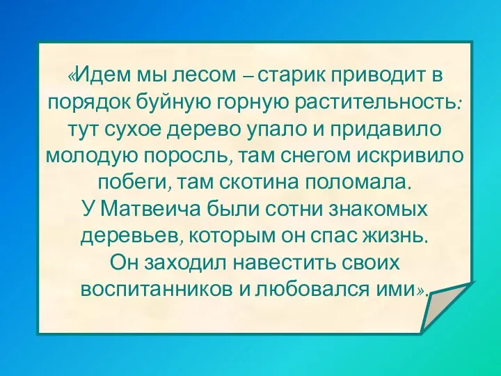 «Идем мы лесом – старик приводит в порядок буйную горную