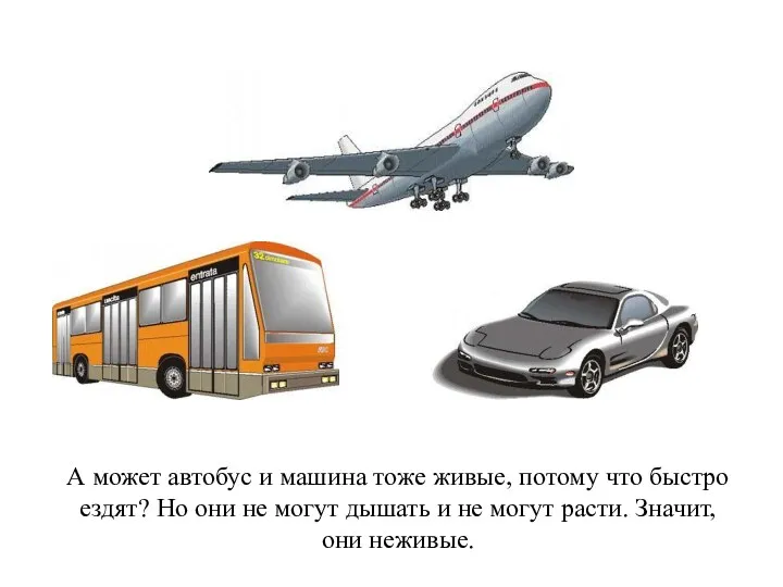 А может автобус и машина тоже живые, потому что быстро ездят? Но они