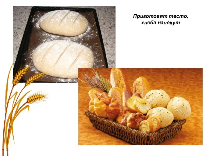 Приготовят тесто, хлеба напекут