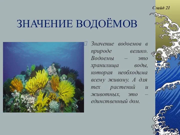 ЗНАЧЕНИЕ ВОДОЁМОВ Значение водоемов в природе велико. Водоемы – это