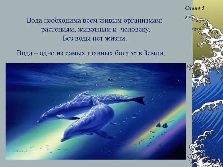 Вода необходима всем живым организмам: растениям, животным и человеку. Без