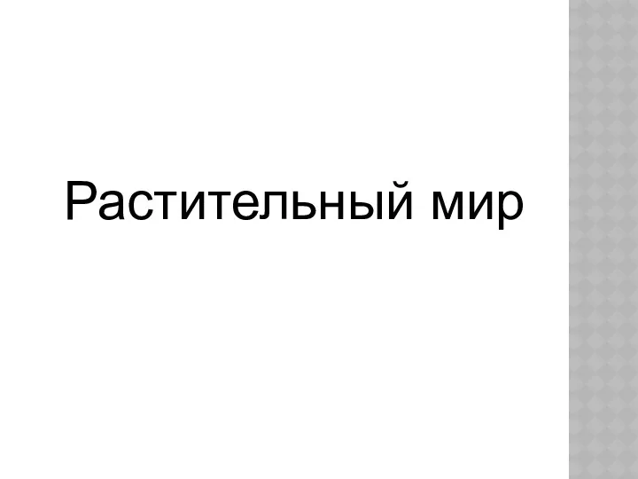 Растительный мир