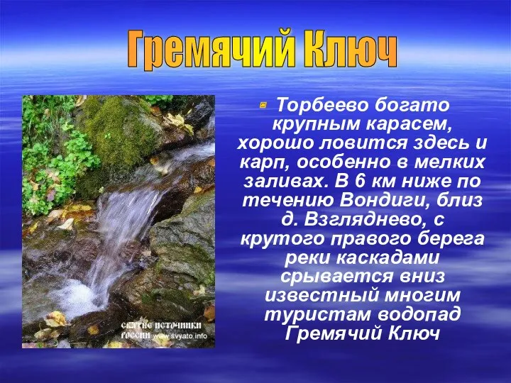 Торбеево богато крупным карасем, хорошо ловится здесь и карп, особенно в мелких заливах.