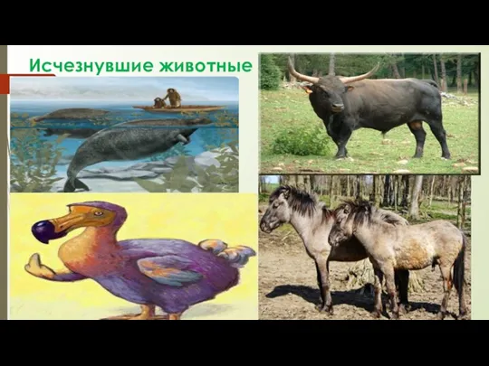 Исчезнувшие животные