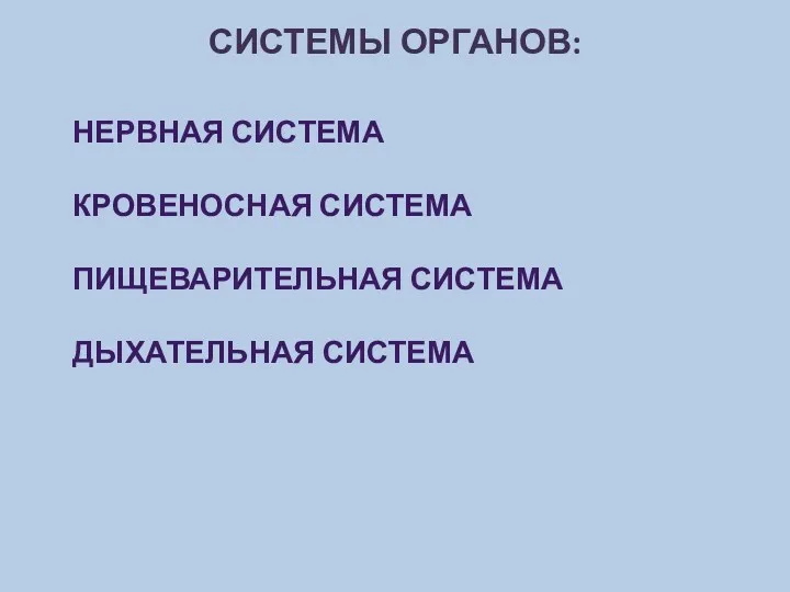 Системы органов: Нервная система Кровеносная система Пищеварительная система Дыхательная система