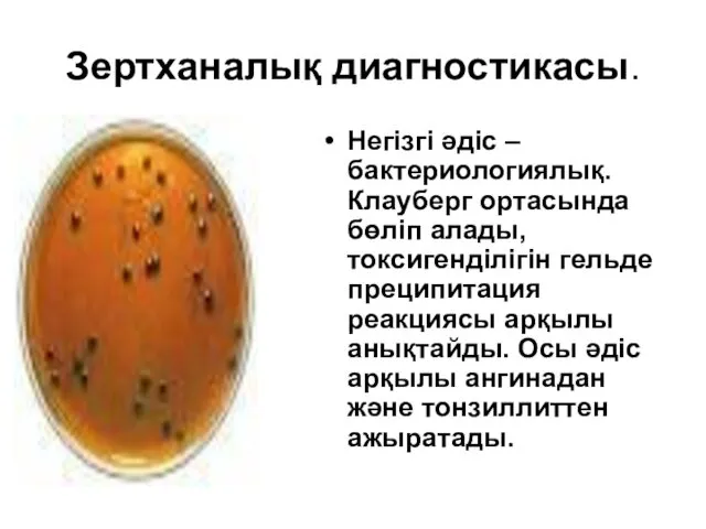 Зертханалық диагностикасы. Негізгі әдіс – бактериологиялық. Клауберг ортасында бөліп алады,