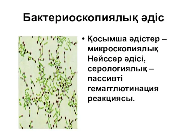 Бактериоскопиялық әдіс Қосымша әдістер –микроскопиялық Нейссер әдісі, серологиялық – пассивті гемагглютинация реакциясы.