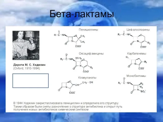 Бета-лактамы