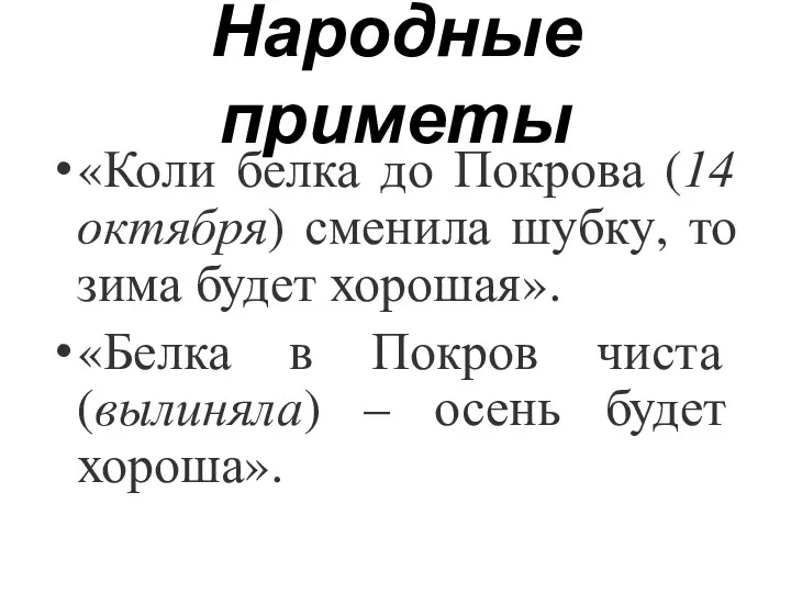 Народные приметы «Коли белка до Покрова (14 октября) сменила шубку,