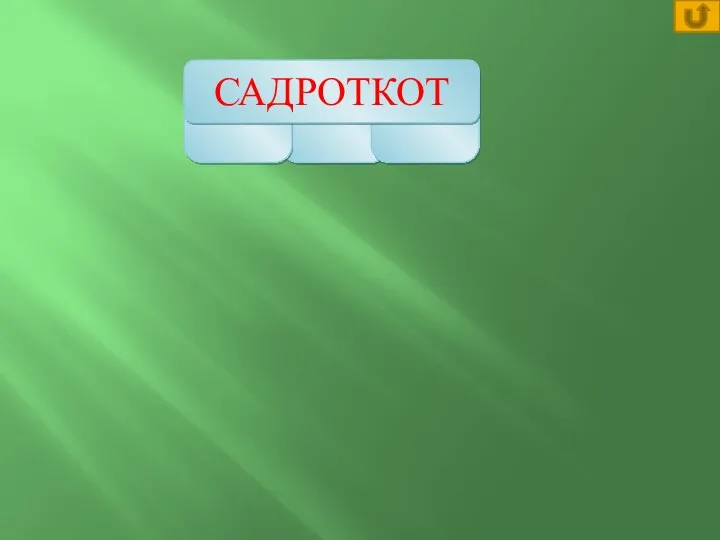 РОТ КОТ САД САДРОТКОТ