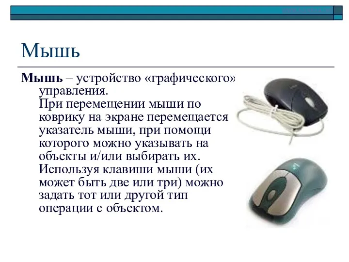 Мышь Мышь – устройство «графического» управления. При перемещении мыши по