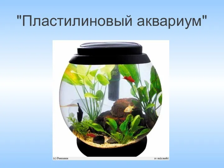"Пластилиновый аквариум"