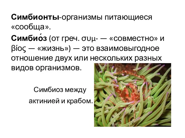 Симбионты-организмы питающиеся «сообща». Симбио́з (от греч. συμ- — «совместно» и