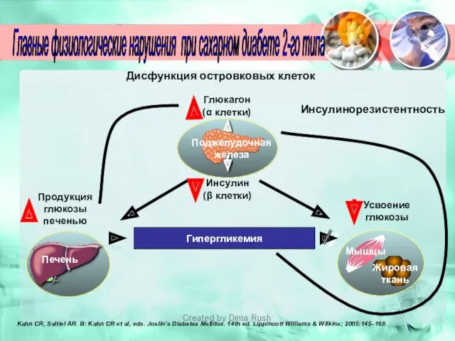 5 Дисфункция островковых клеток Глюкагон (α клетки) Поджелудочная железа Инсулин