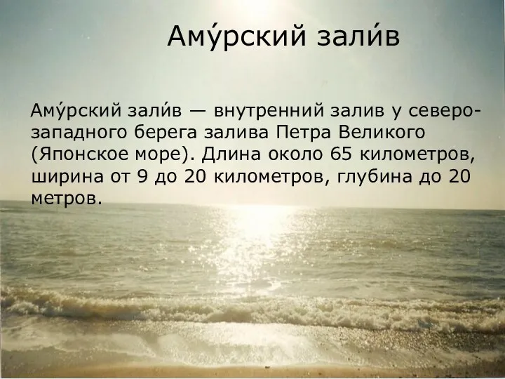 Аму́рский зали́в Аму́рский зали́в — внутренний залив у северо-западного берега