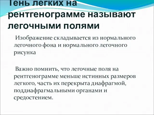 Тень легких на рентгенограмме называют легочными полями Изображение складывается из