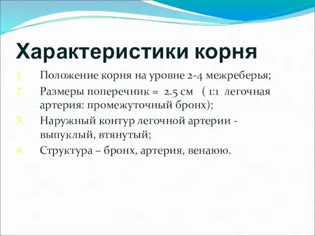 Характеристики корня Положение корня на уровне 2-4 межреберья; Размеры поперечник