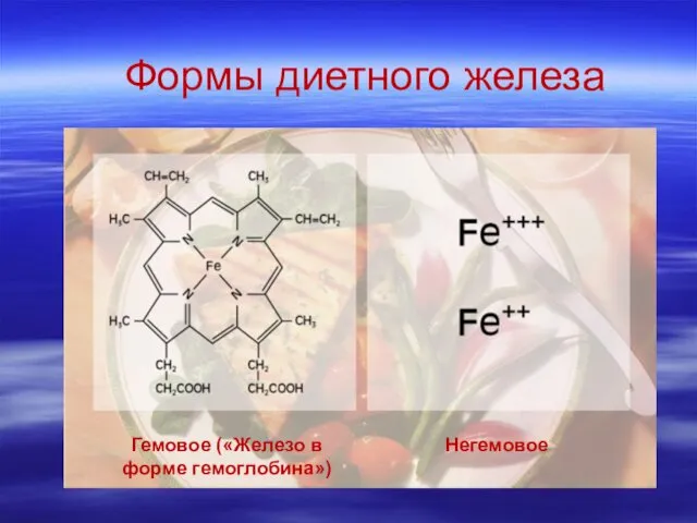 Формы диетного железа Негемовое Гемовое («Железо в форме гемоглобина»)