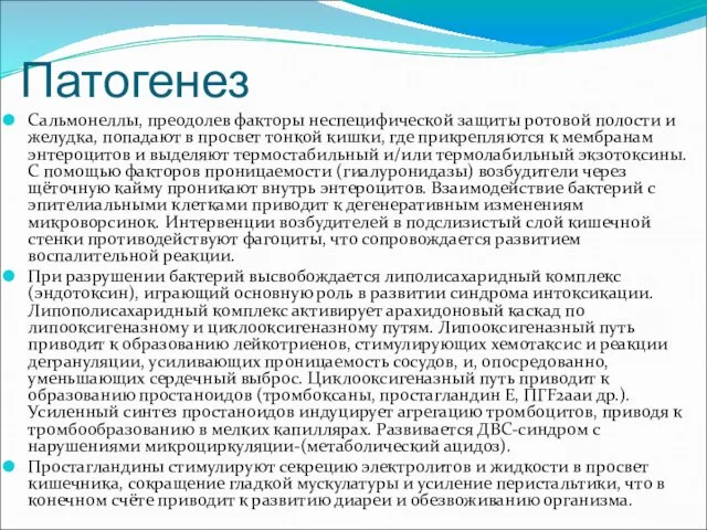 Патогенез Сальмонеллы, преодолев факторы неспецифической защиты ротовой полости и желудка,