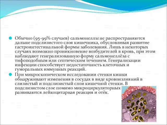 Обычно (95-99% случаев) сальмонеллы не распространяются дальше подслизистого слоя кишечника,