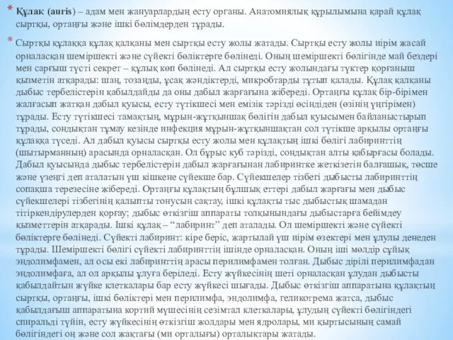 Құлақ (aurіs) – адам мен жануарлардың есту органы. Анатомиялық құрылымына