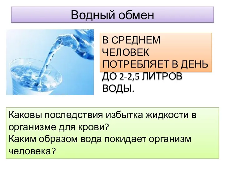 Водный обмен В СРЕДНЕМ ЧЕЛОВЕК ПОТРЕБЛЯЕТ В ДЕНЬ ДО 2-2,5