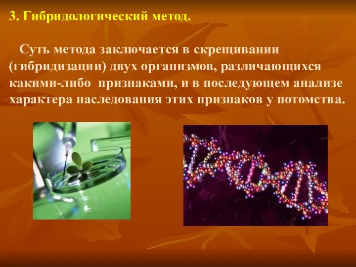 3. Гибридологический метод. Суть метода заключается в скрещивании (гибридизации) двух