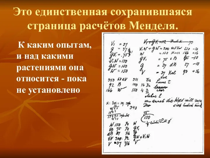 Это единственная сохранившаяся страница расчётов Менделя. К каким опытам, и